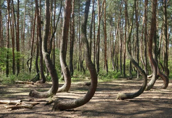 Лучший художник — природа, потрясающе красивые места в разных уголках планеты