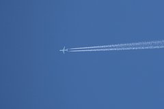 Пассажирский самолет приготовился к аварийной посадке в аэропорту Москвы